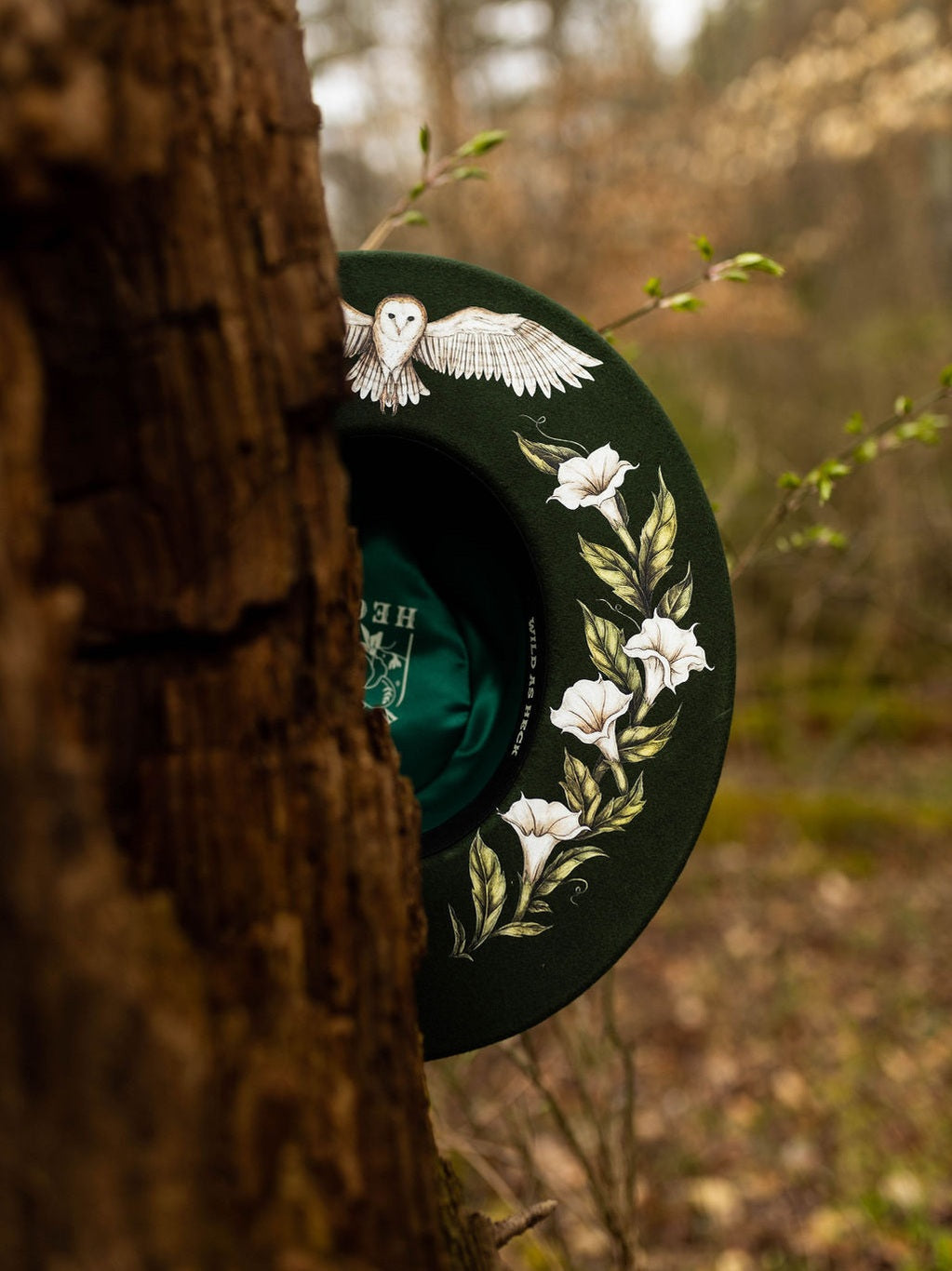 The Aurora Rancher/ Pencil