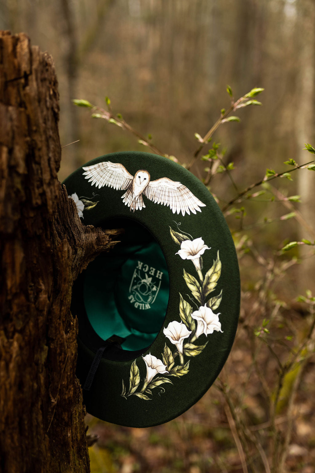 The Aurora Rancher/ Pencil