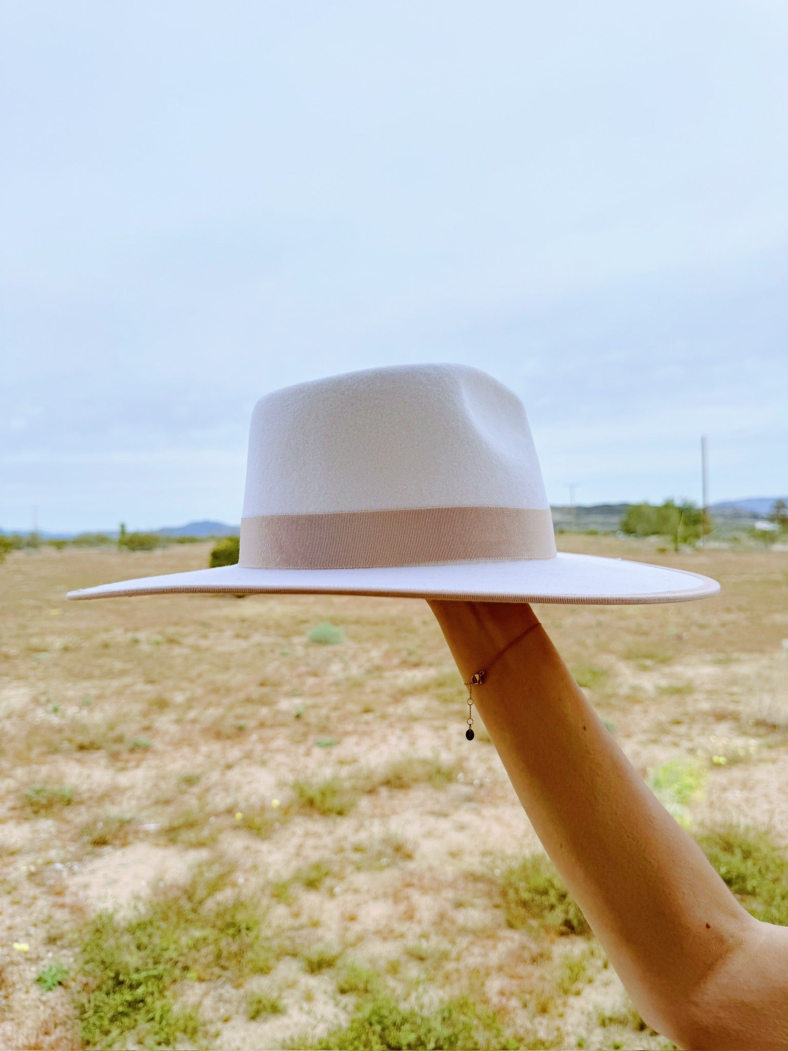 The Wilder Rancher