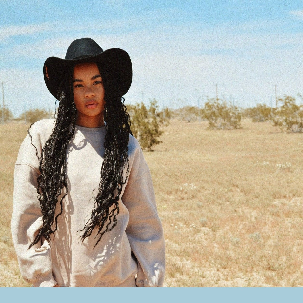 Raise Hell Cowboy Hat