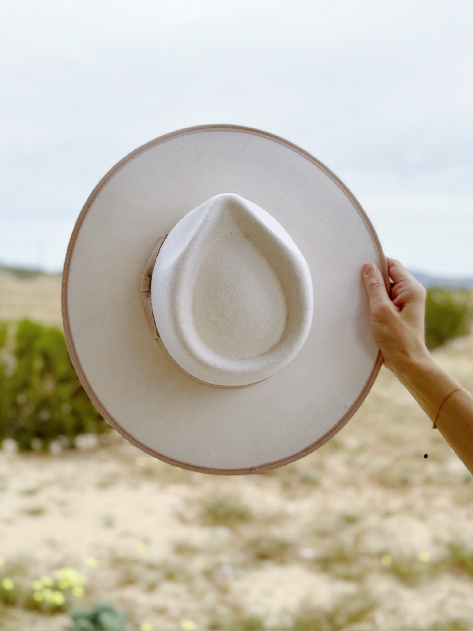 The Wilder Rancher