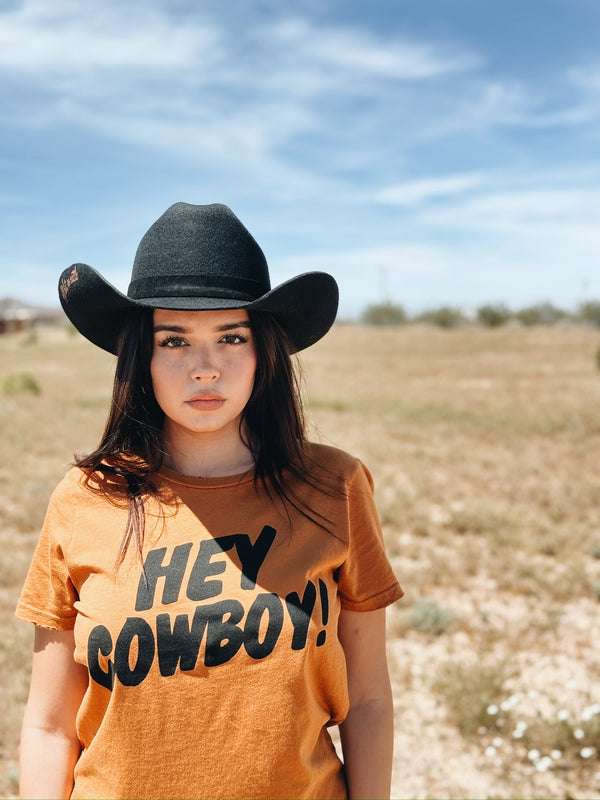 All Hat, No Cattle Cowboy Hat