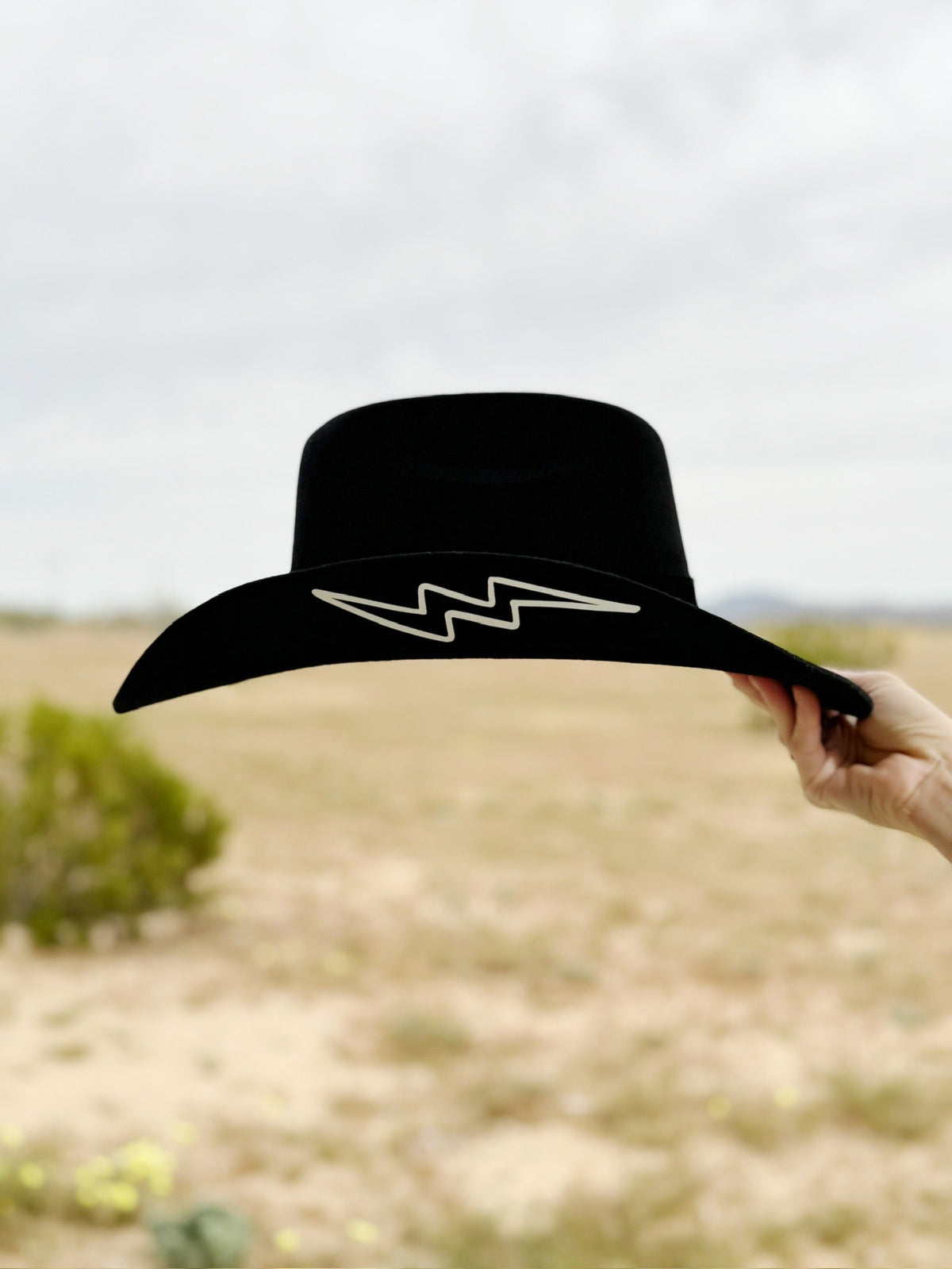 NEW WILD AS HECK start the show cowboy hat in black The Marlowe Western | Wild As Heck main image 4