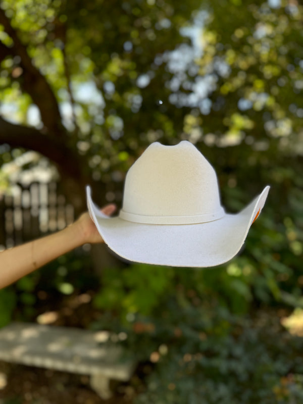 The Poppy Western
