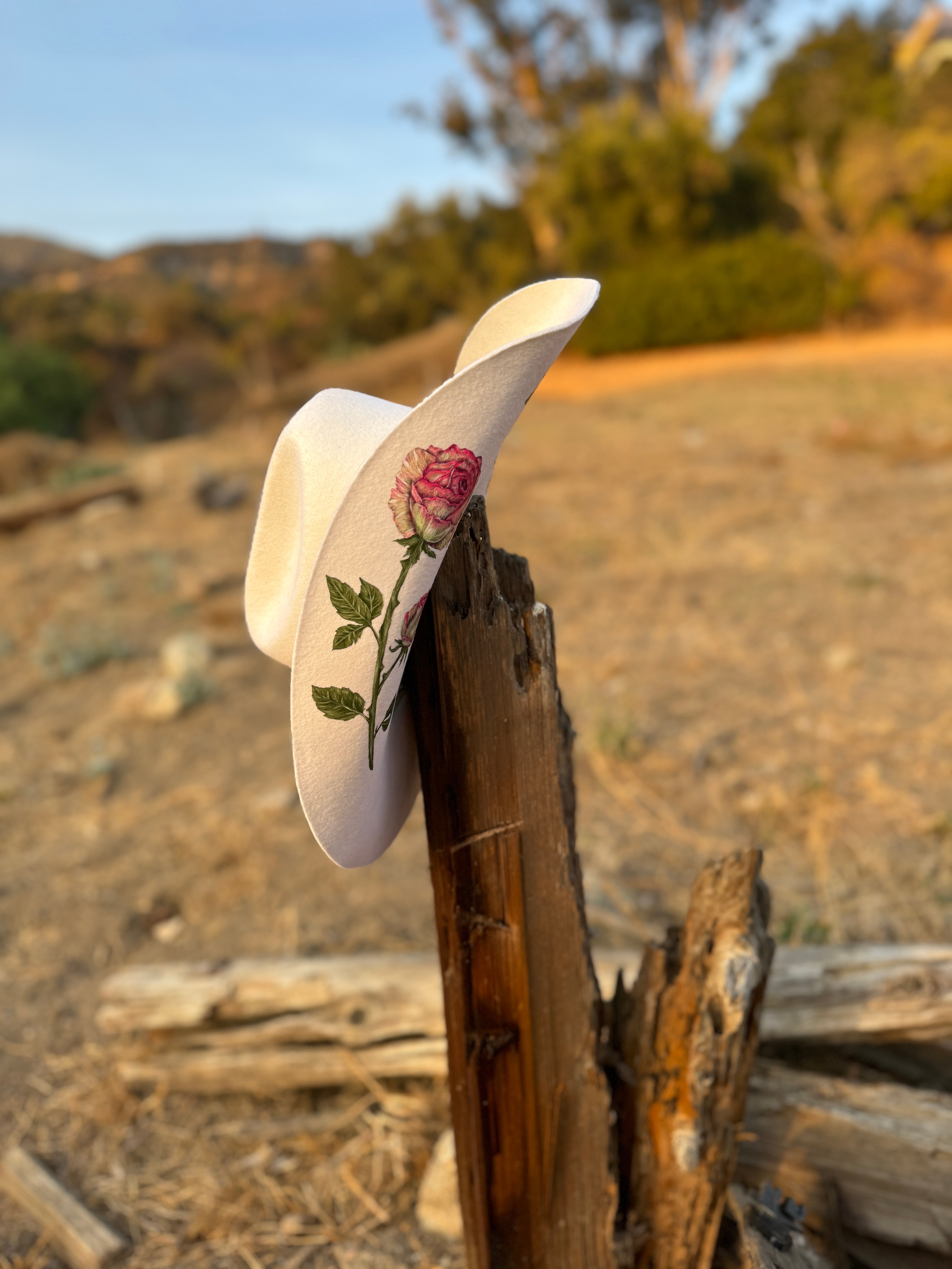 The Seraphina Western