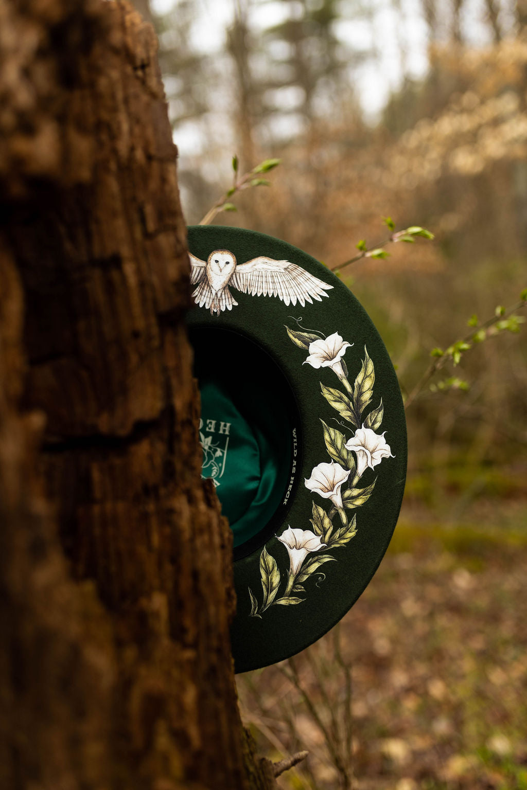 The Aurora Rancher/ Pencil