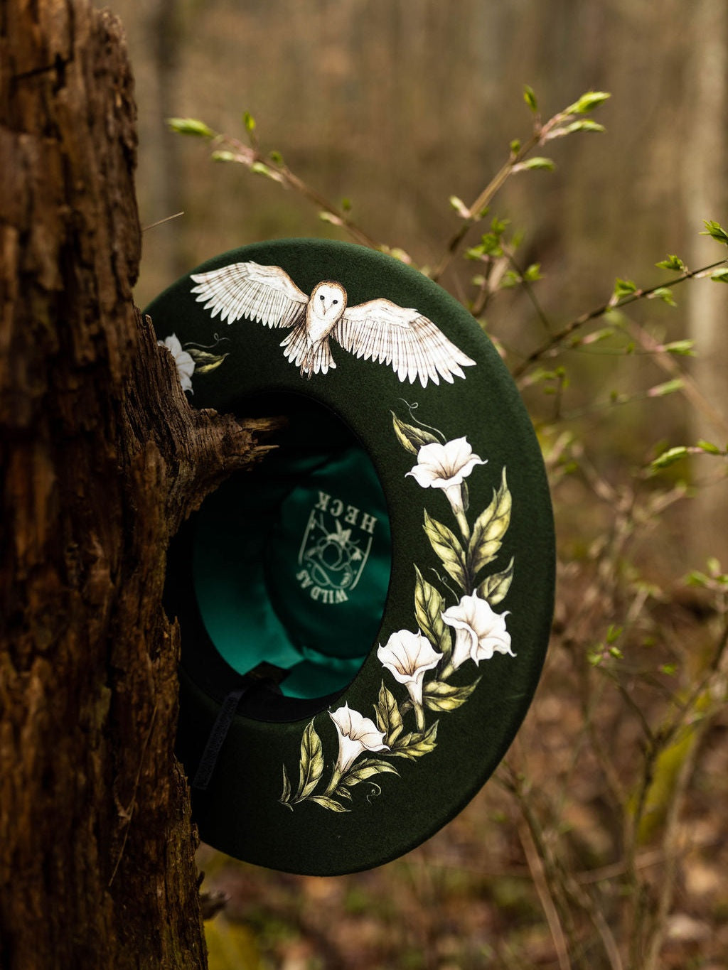 The Aurora Rancher/ Pencil