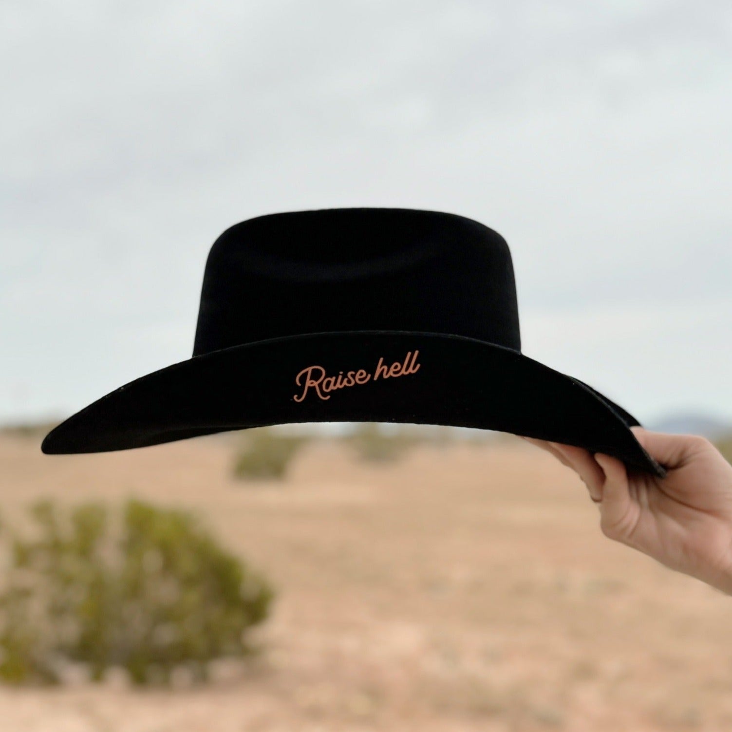 Raise Hell Cowboy Hat